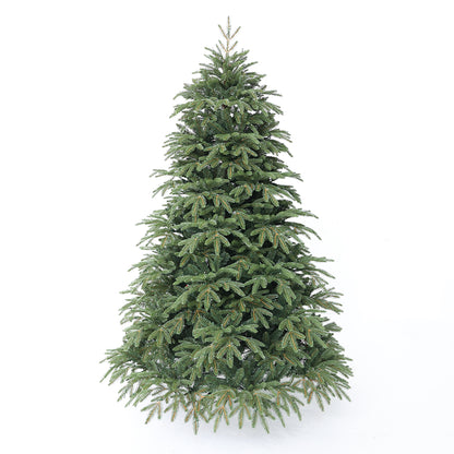 Nordmann fir