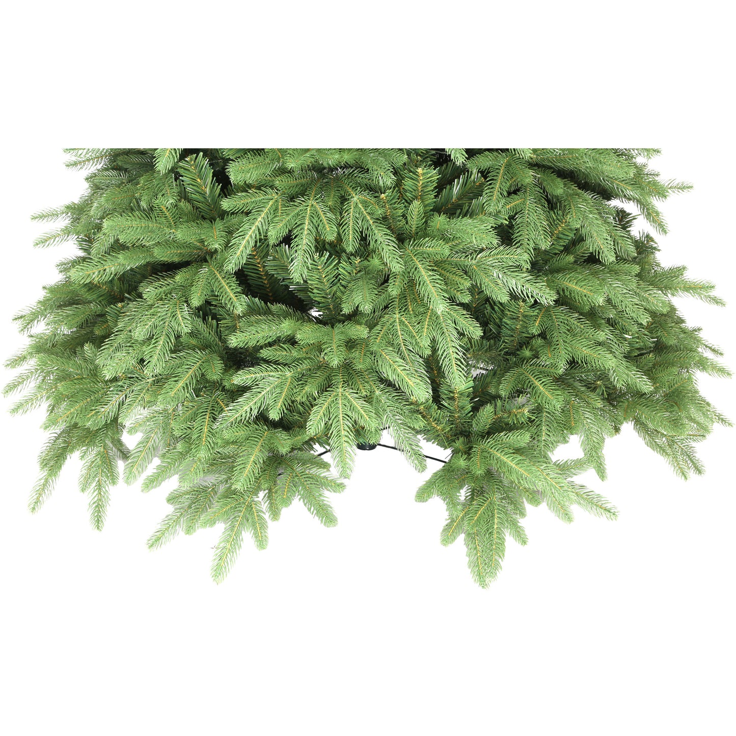 Mary Fir