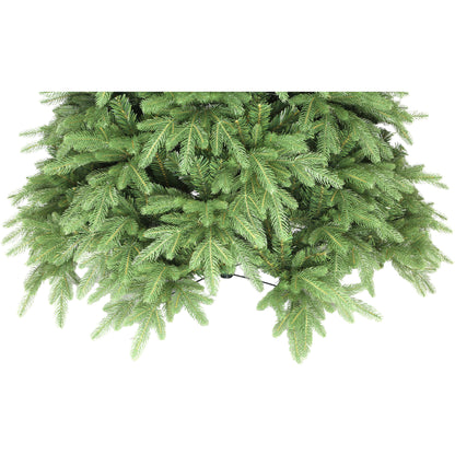 Mary Fir