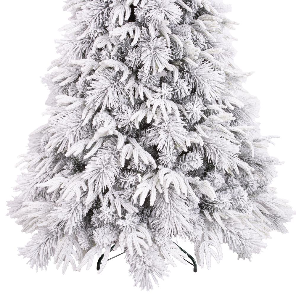 Luna Fir