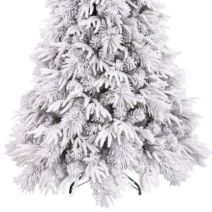Luna Fir