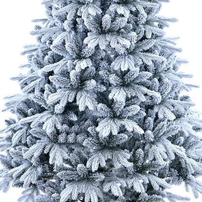 Amber Fir