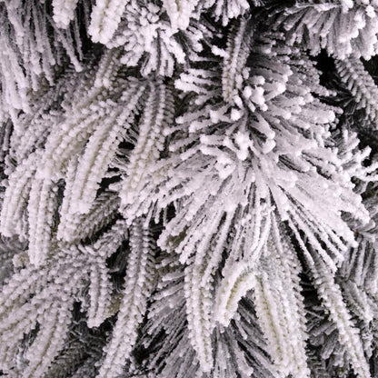 Luna Fir