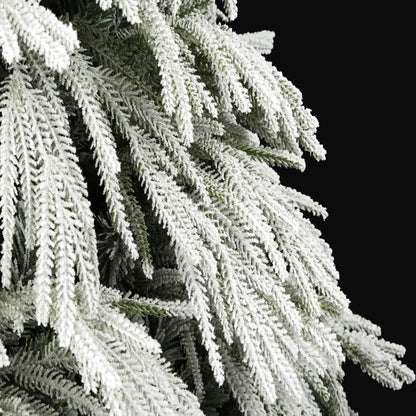 Ella Fir