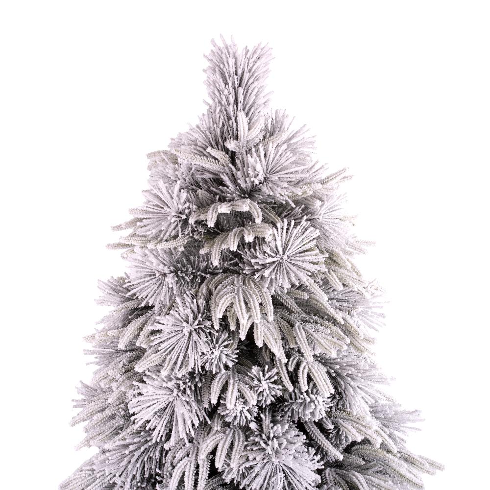 Luna Fir