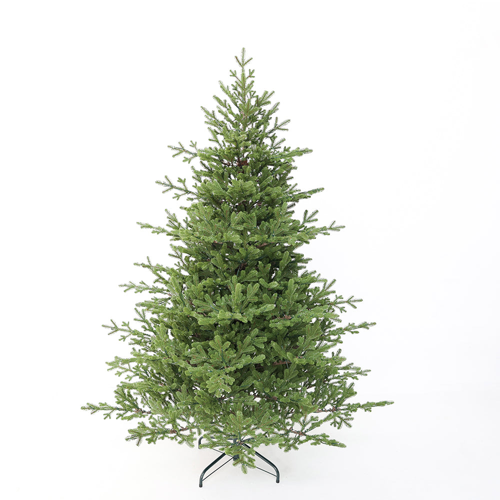 Ollie Fir