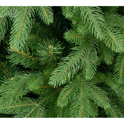 Mary Fir