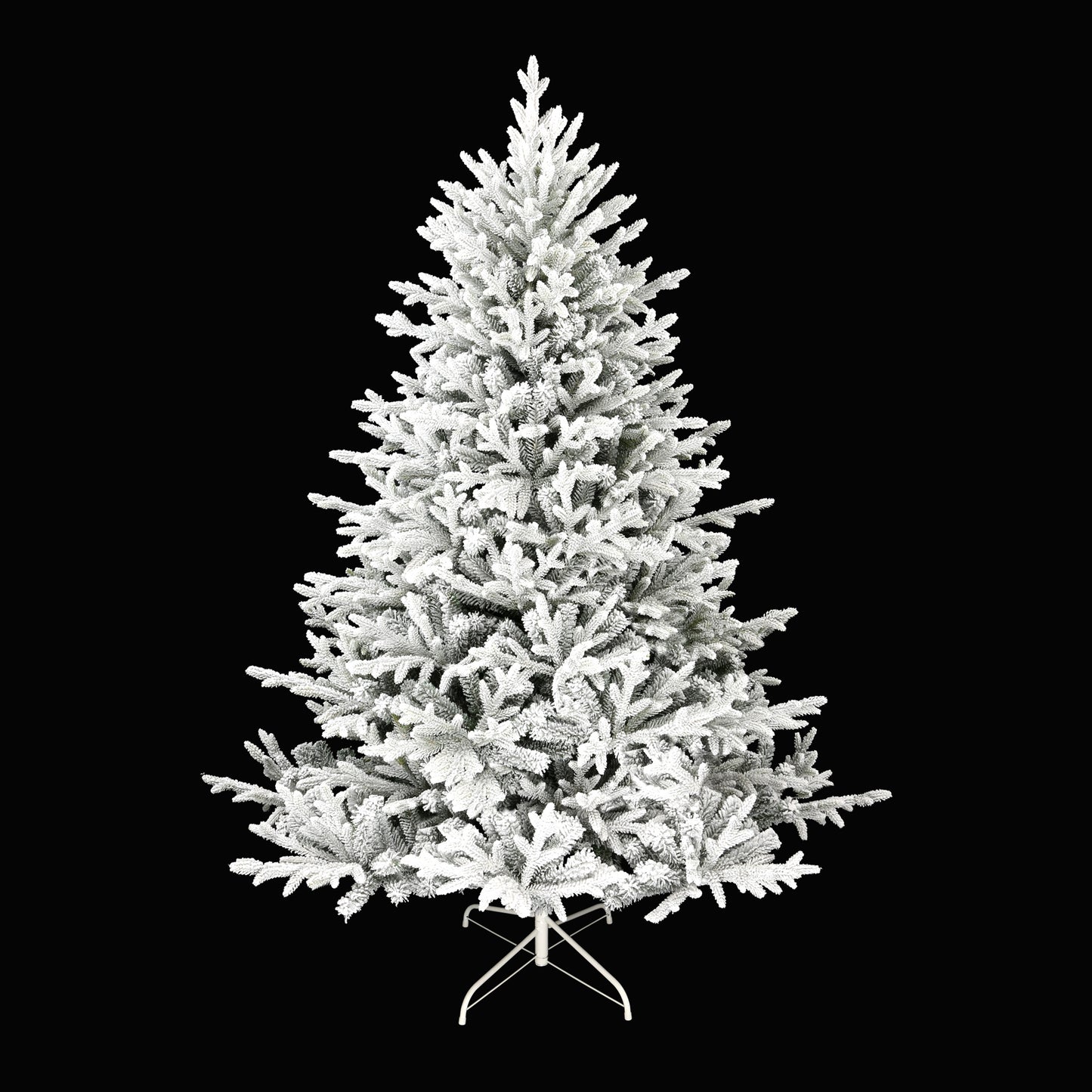 Norwegian Fir