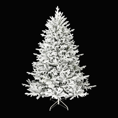 Norwegian Fir