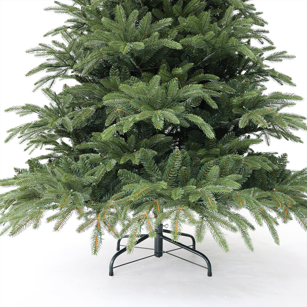 Nordmann fir