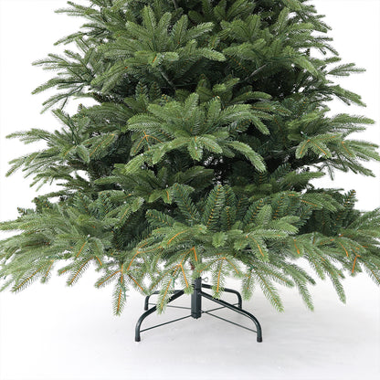 Nordmann fir