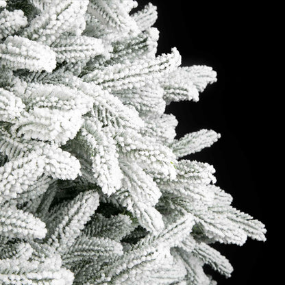 Maya Fir
