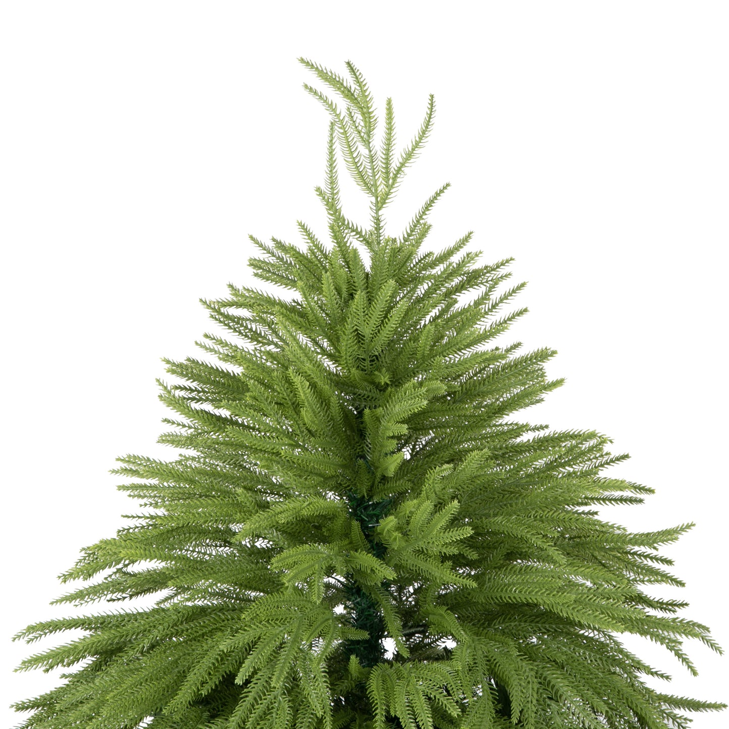 Anna Fir