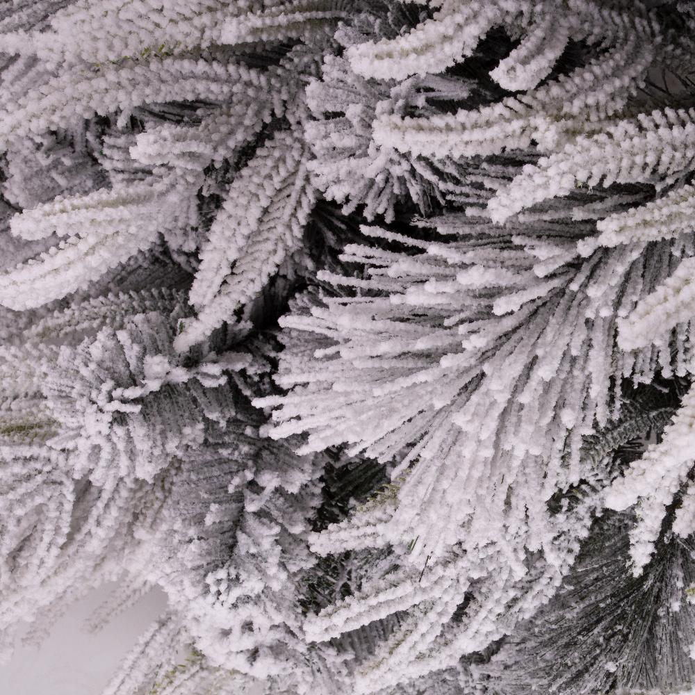 Luna Fir