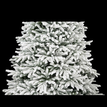 Maya Fir