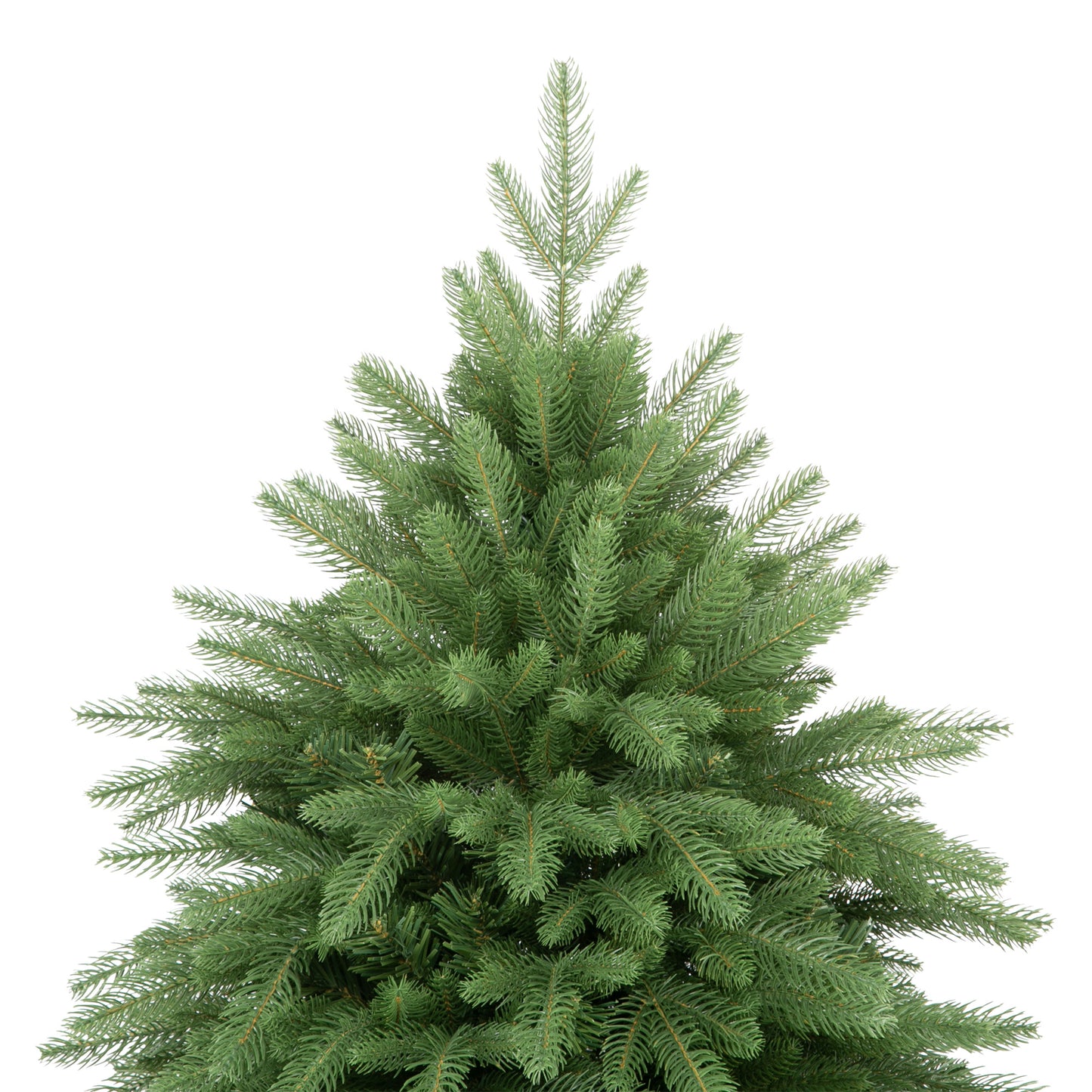 Mary Fir