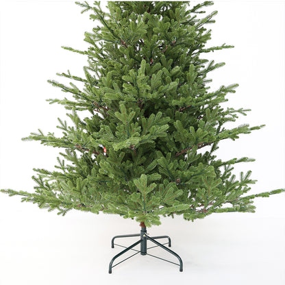 Ollie Fir