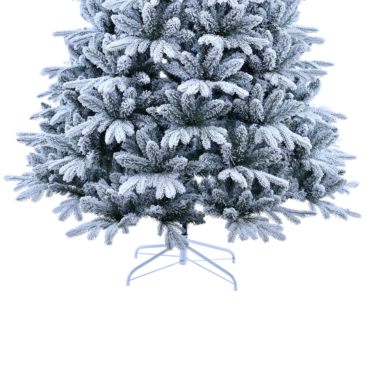 Amber Fir