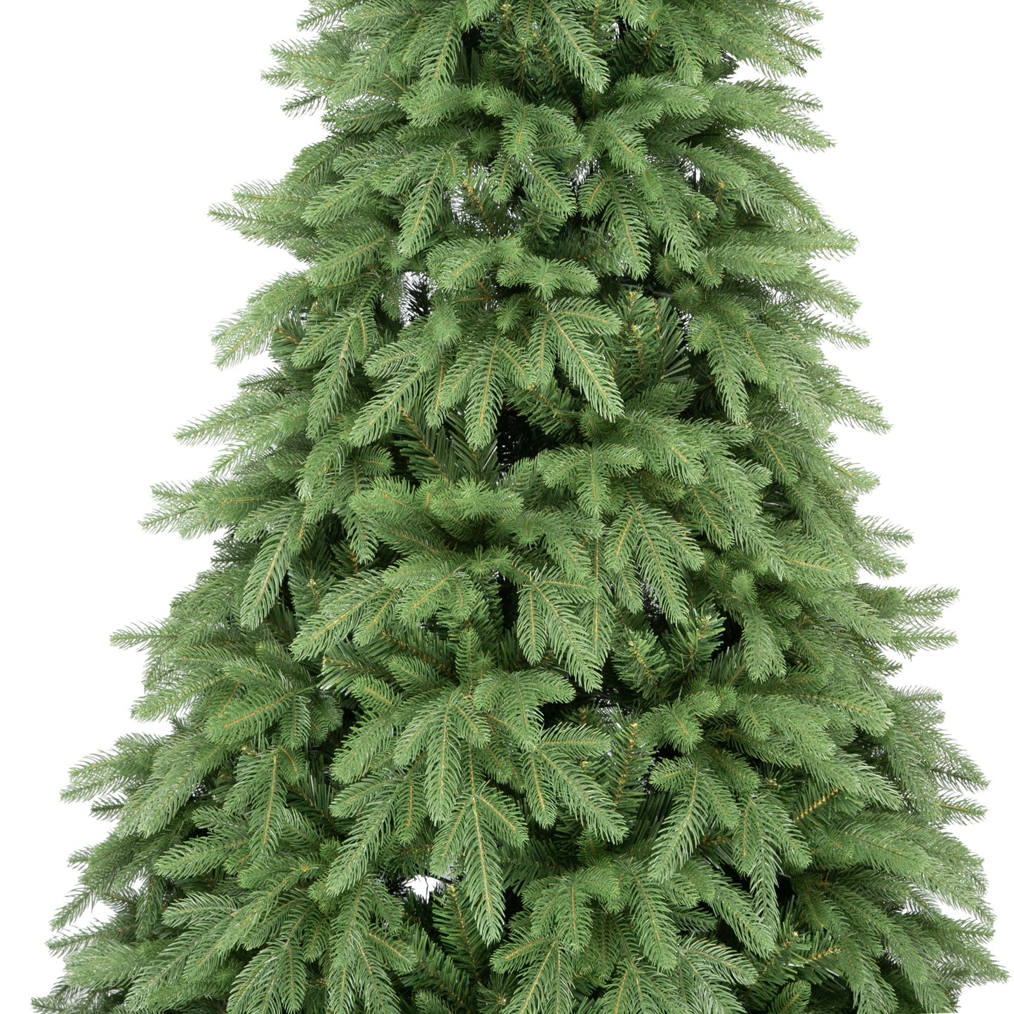 Mary Fir