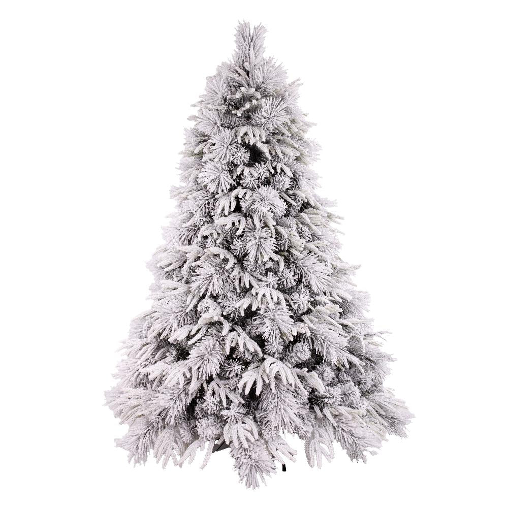 Luna Fir