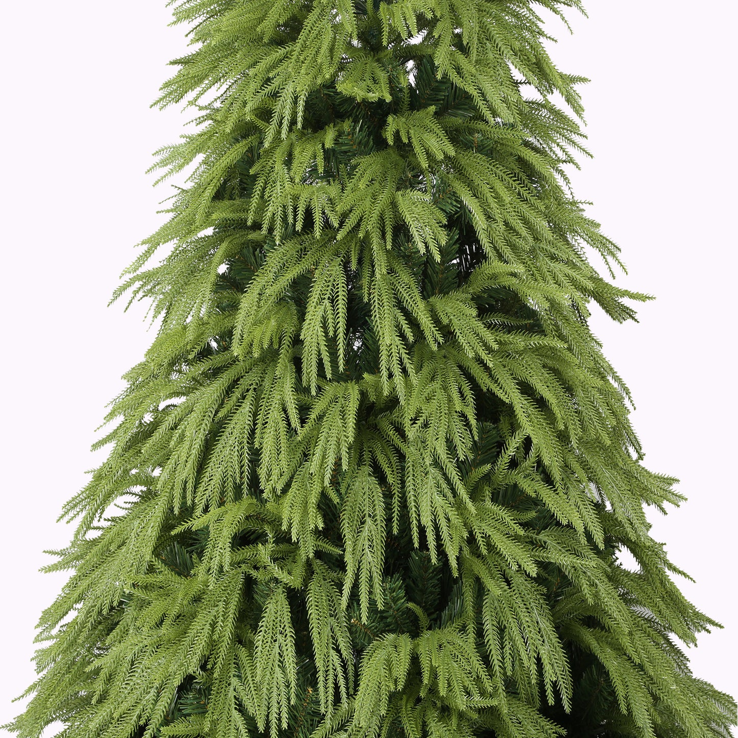 Anna Fir