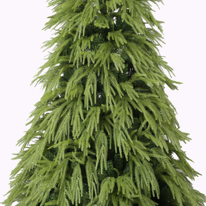 Anna Fir