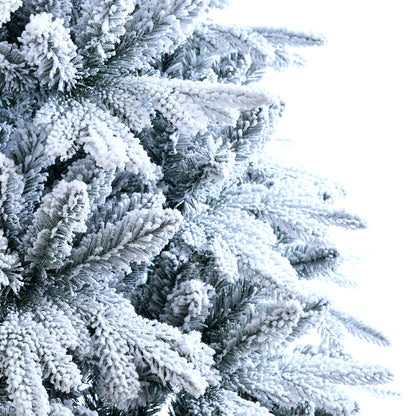 Amber Fir