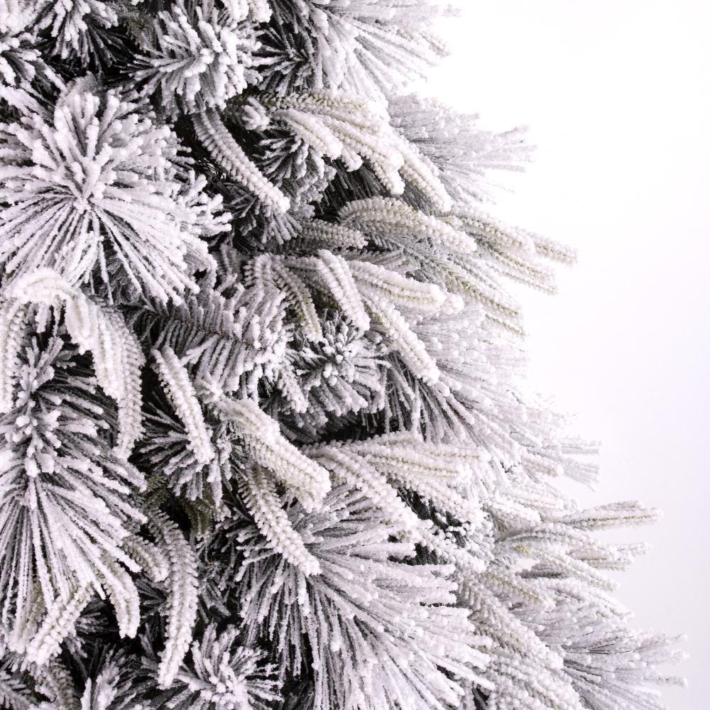 Luna Fir