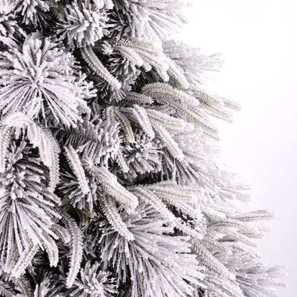 Luna Fir