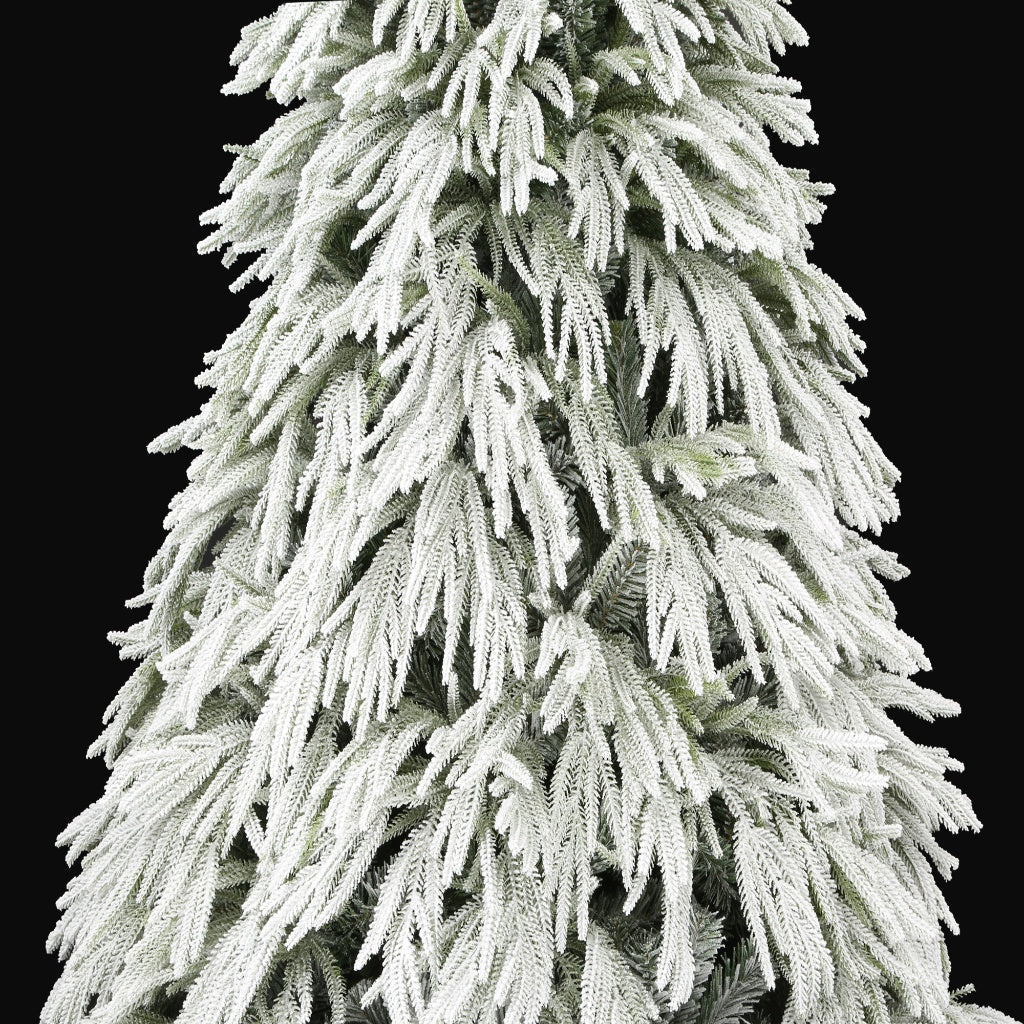 Ella Fir