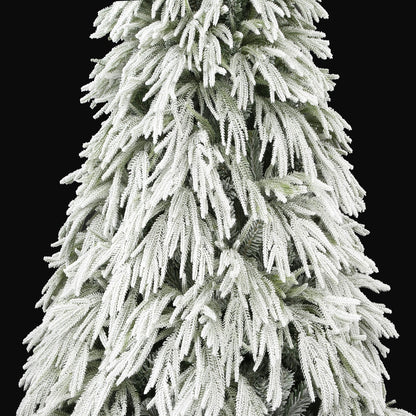 Ella Fir
