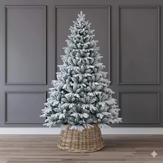 Amber Fir
