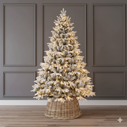 Amber Fir