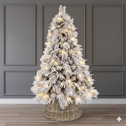 Luna Fir