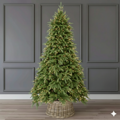 Mary Fir