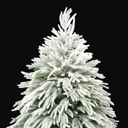 Ella Fir
